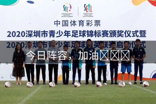 今日阵容，加油💪💪💪