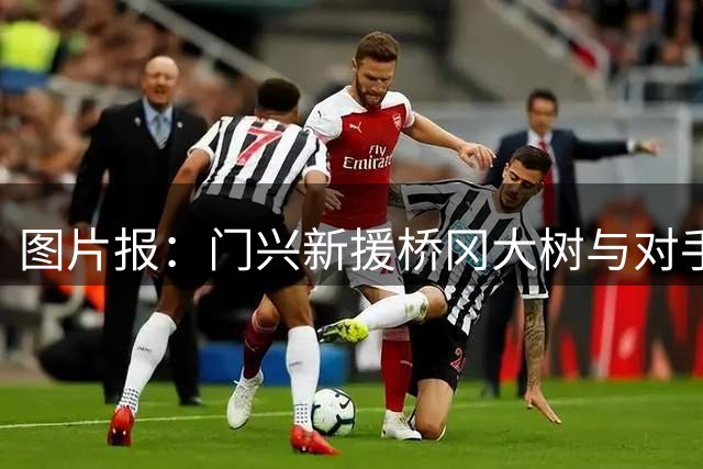 图片报：门兴新援桥冈大树与对手相撞受伤，被送往医院检查颈椎